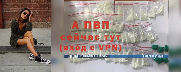сатива Богородицк